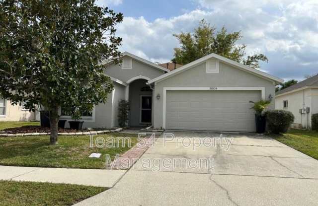 30534 Tremont Dr - 30534 Tremont Drive, Wesley Chapel, FL 33543