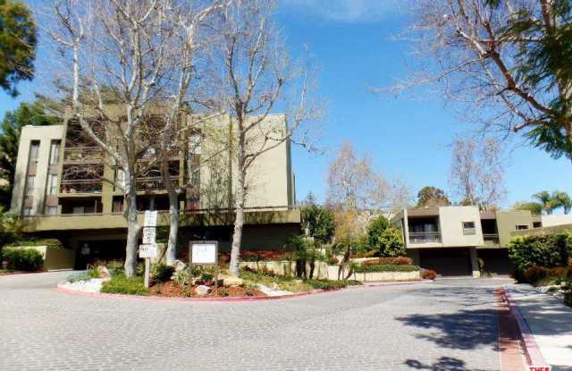 811 TEMPLE Terrace Gallery 2
