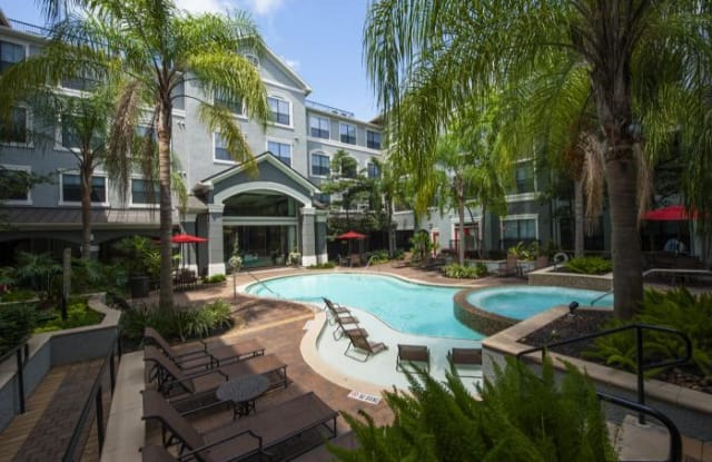 2555 S Braeswood Blvd - 2555 South Braeswood Boulevard, Houston, TX 77025