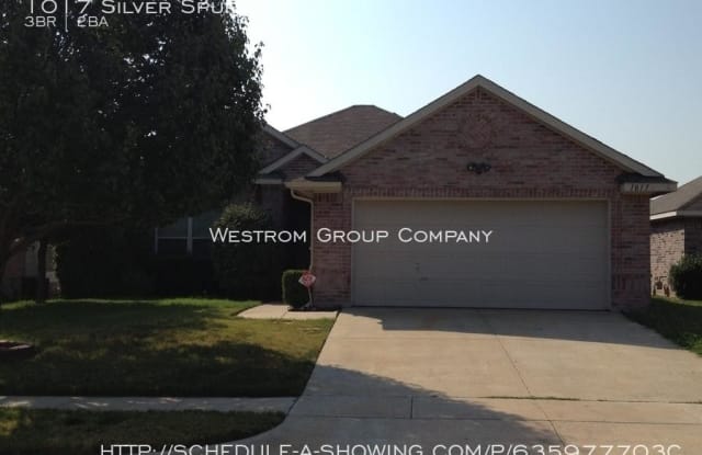 1017 Silver Spur Ln - 1017 Silver Spur Lane, Fort Worth, TX 76179