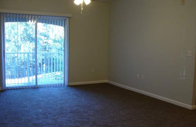 6788 Manotak Oaks Dr #207 Gallery 4