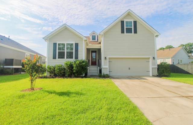 333 Turnstone Street - 333 Turnstone Street, Mount Pleasant, SC 29464