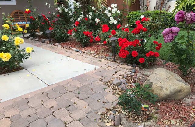 7248 Canyon Glen Ct Gallery 4