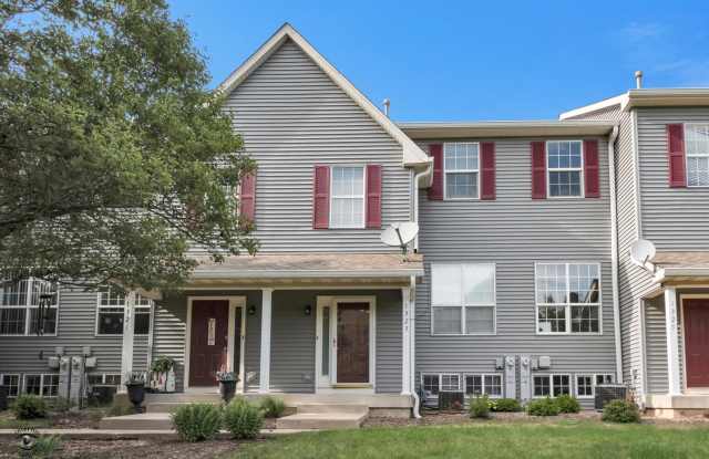 1323 Chestnut Lane - 1323 Chestnut Lane, Yorkville, IL 60560