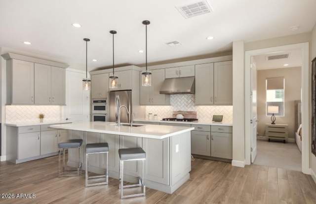 11353 N Luckenbach Street - 11353 North Luckenbach Street, Surprise, AZ 85388