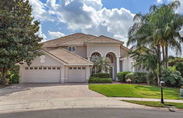 9069 DANCY TREE COURT - 9069 Dancy Tree Court, Doctor Phillips, FL 32836