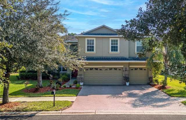 20213 REGAL FERN COURT - 20213 Regal Fern Court, Pebble Creek, FL 33647