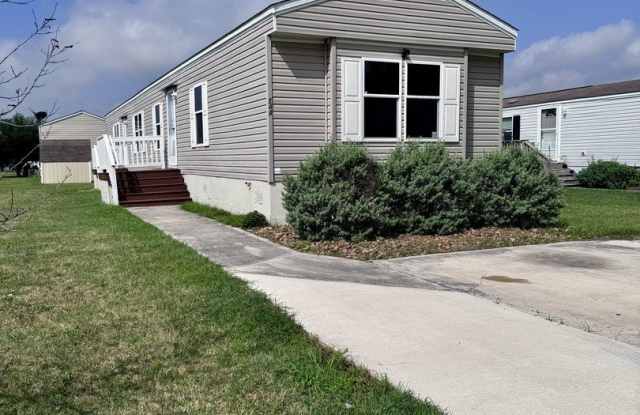 244 Cactus Wren Loop photos photos