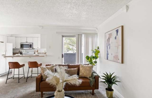 1389 Caminito Gabaldon Unit C Gallery 3