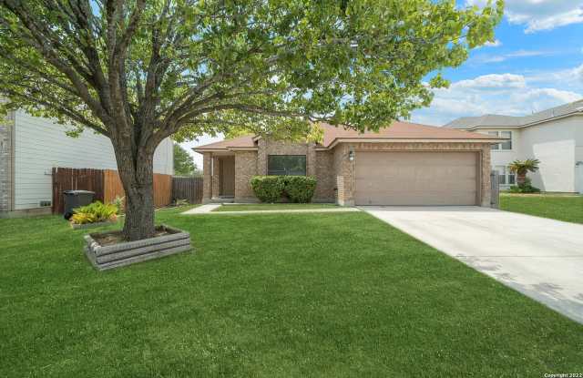 5007 SHARA MIST photos photos