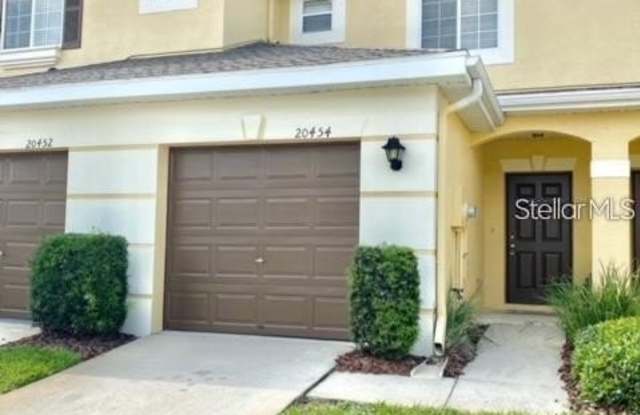 20454 NEEDLETREE DRIVE - 20454 Needletree Drive, Tampa, FL 33647