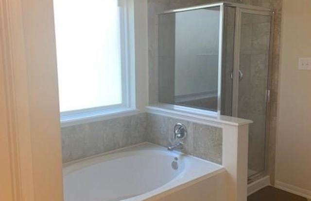 8223 Pastel Dawn Trace Gallery 2