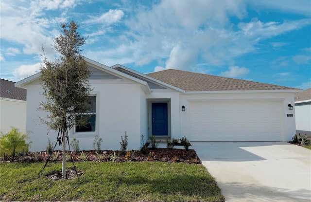 2110 LASSO LOOP photos photos