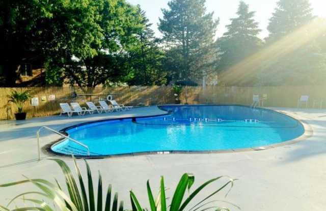 Willows on France photos photos