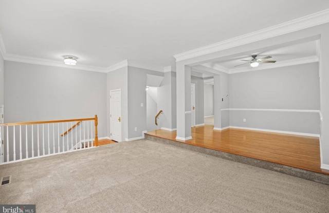 25257 Bald Eagle Terrace Gallery 3