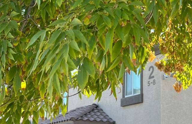 2 Bed 2.5 Bath Townhouse - 2439 West Coolidge Street, Phoenix, AZ 85015