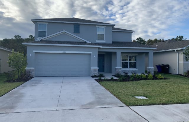 4234 Southern Vista Loop - 4234 Southern Vista Loop, St. Cloud, FL 34772