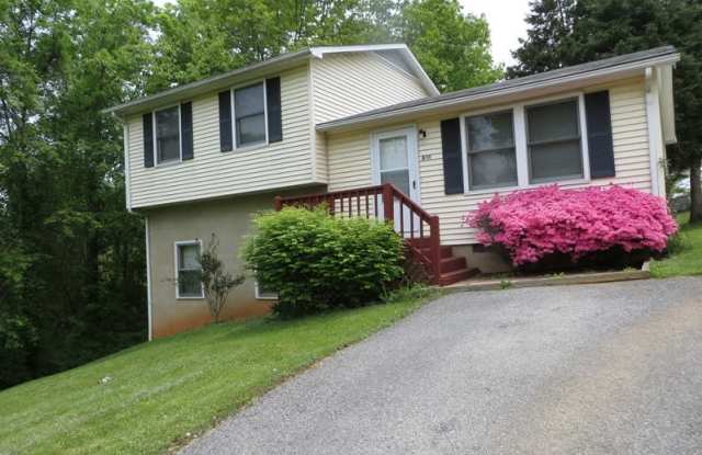 Radford 3 Br/2 Ba, Available July 10th - 800 4th Street, Radford, VA 24141