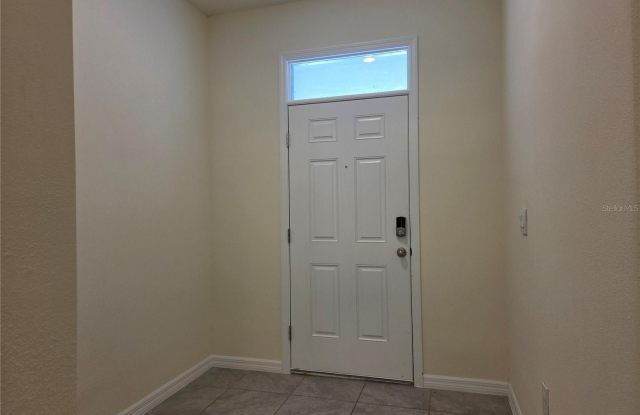 32181 TURTLE GRACE Loop Gallery 3