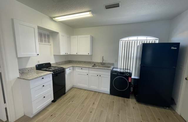 804 Washington Palm Loop- B Gallery 4