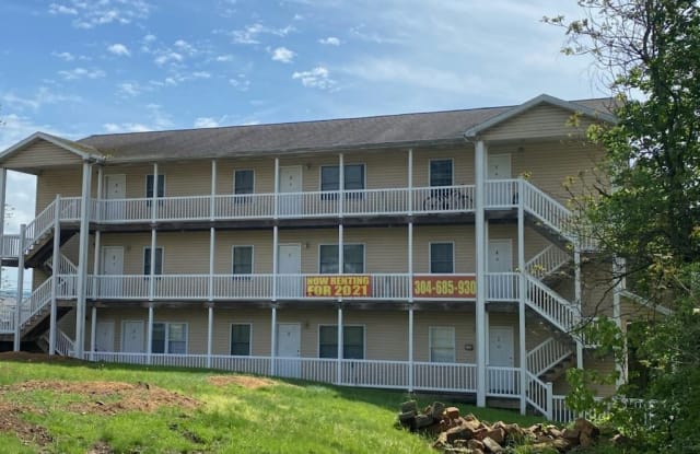 393 Dille Street - 393 Dille Street, Morgantown, WV 26505