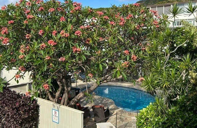 3824 Leahi Avenue photos photos 3824 Leahi Avenue photos photos
