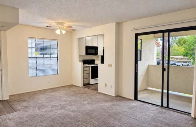 10305 Azuaga Street - 18 Gallery 3