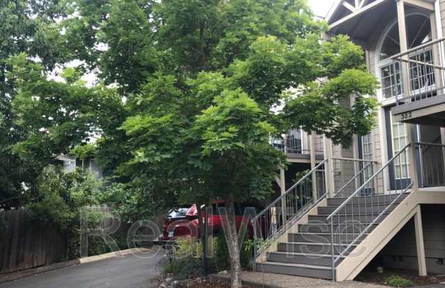 382 Glenn St Gallery 2