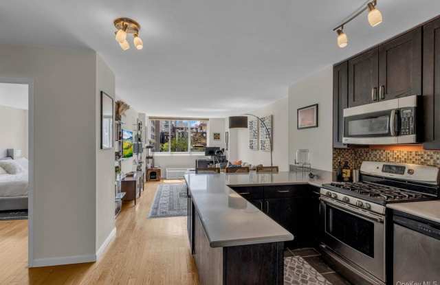 345 East 93rd Street photos photos