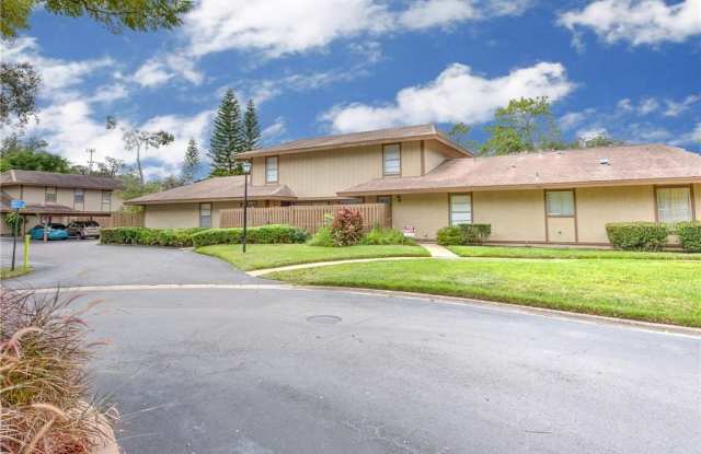 924 BUCK COURT - 924 Buck Court, Brandon, FL 33508