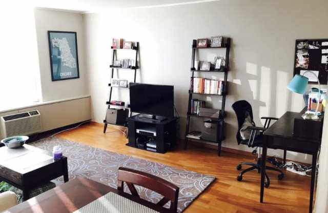 70 West Burton Place - 70 West Burton Place, Chicago, IL 60610