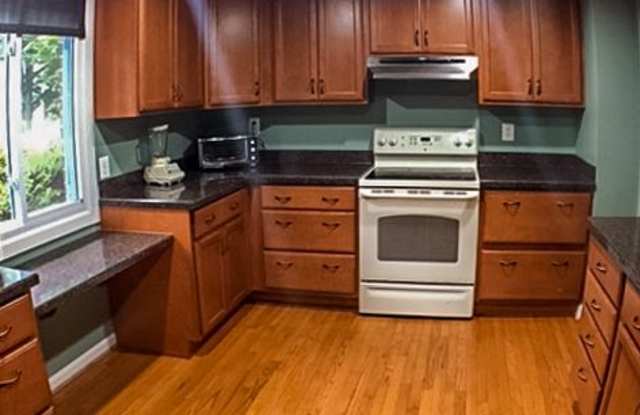 19004 Coltfield Ct Gallery 4