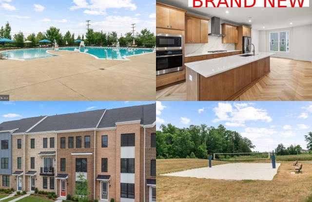 42106 PICASSO photos photos 42106 PICASSO photos photos