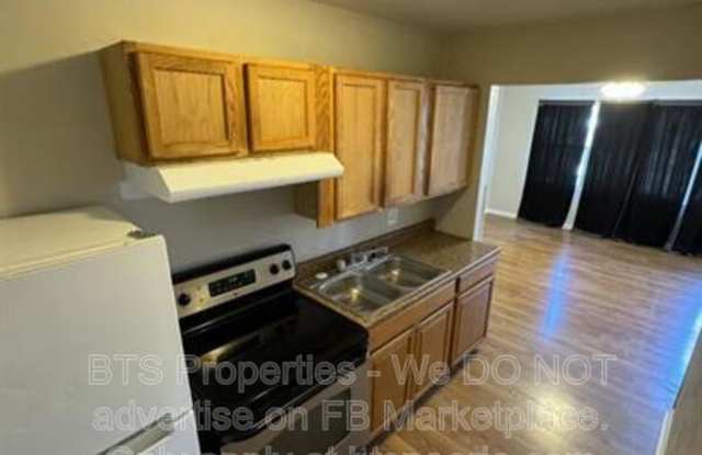 119 Vanburen Court - 119 Vanburen Court, Canton, IL 61520