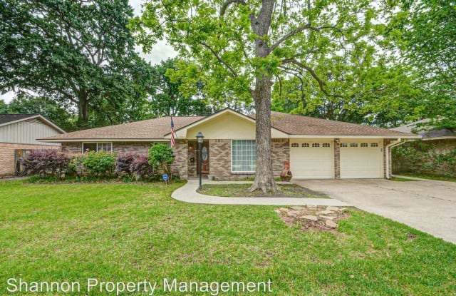 8923 Springview Lane - 8923 Springview Lane, Houston, TX 77080