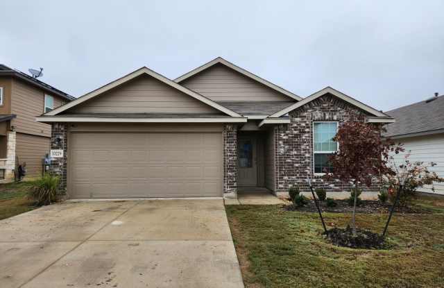 13229 Needle Grass Gallery 1