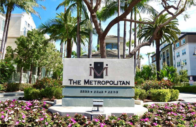 2243 Martin photos photos