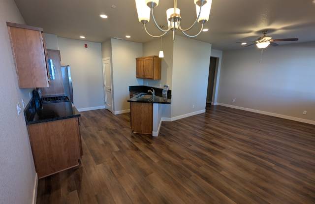 1156 Montevideo Cir - 1156 Montevideo Circle, Minden, NV 89423