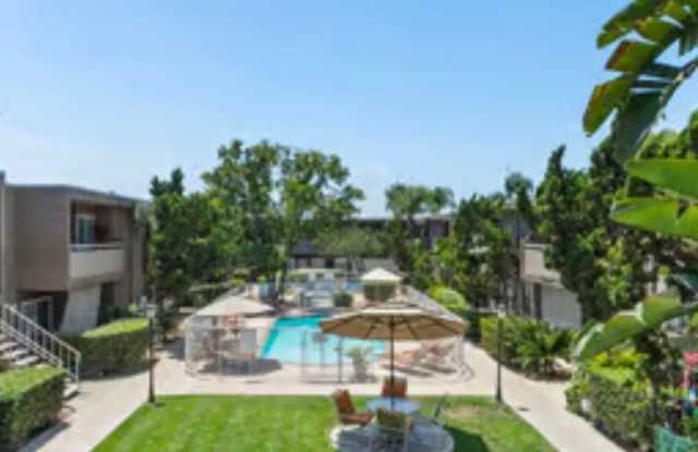 Olive Tree photos photos