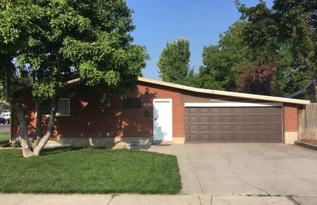 Fresh  Updated Provo Basement photos photos