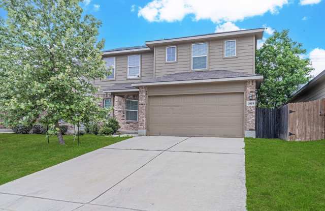 7019 CAPELLA CV photos photos