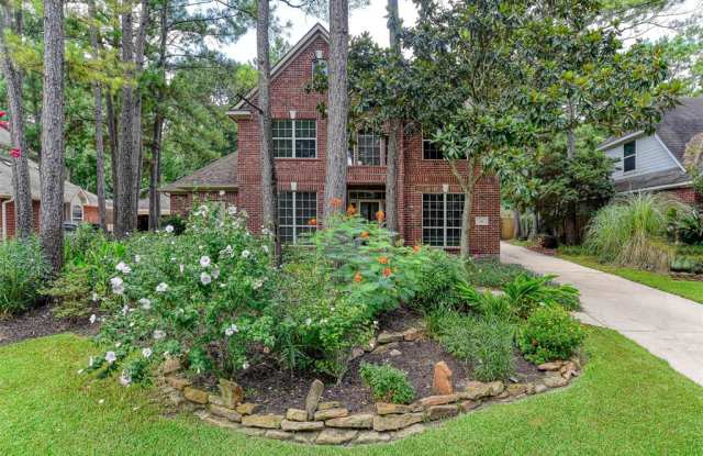 96 W Sandalbranch Circle - 96 W Sandalbranch Cir, The Woodlands, TX 77382