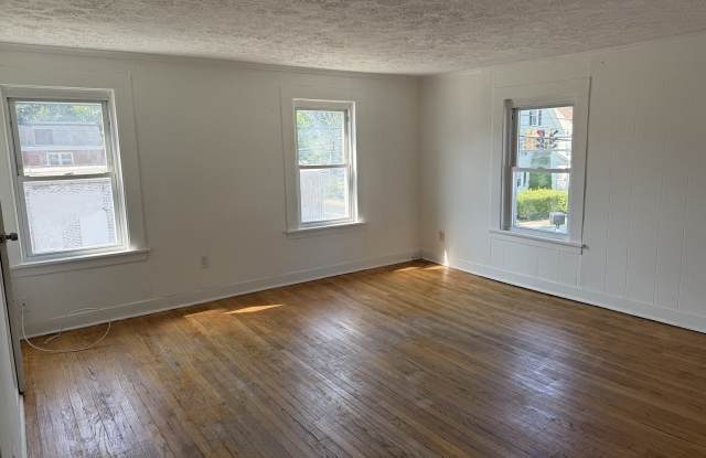 97 Bissell Street Gallery 2