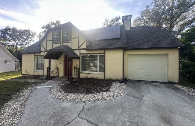 381 South Cobble Court - 381 South Cobble Court, Mount Dora, FL 32757