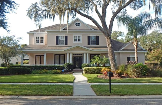 16019 TERNGLADE DRIVE - 16019 Ternglade Drive, Fish Hawk, FL 33547