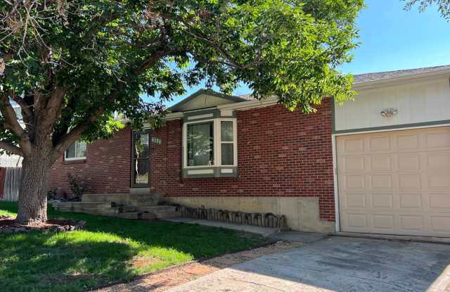 Newly Remodeled 3 Bed Home in Arvada photos photos