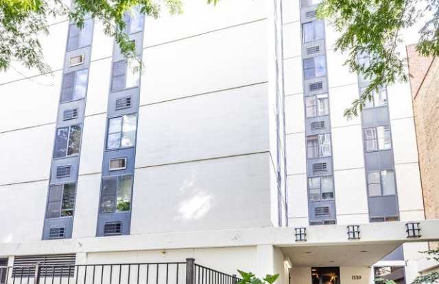 1339 N Dearborn Street Gallery 1