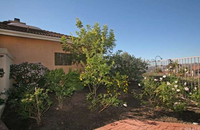 27529 Paseo Verano Gallery 4