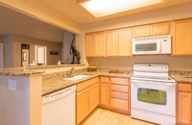 4827 White Rock Cir Gallery 3