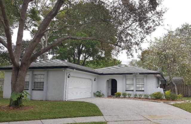 11706 SHADY TREE PLACE - 11706 Shady Tree Place, Carrollwood, FL 33624